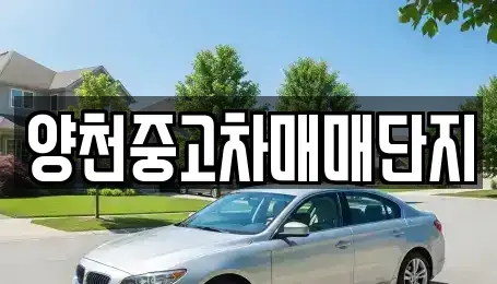 서울 영등포구 문래동6가 중고차매매 전문 양천중고차매매단지