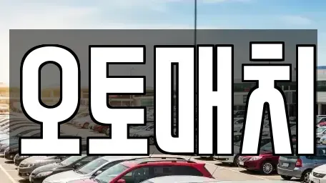 서울 영등포구 문래동6가 중고차매매 전문 오토매치