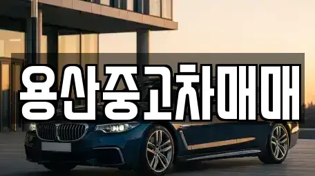 서울 용산구 원효로4가 중고차 전문 용산중고차매매