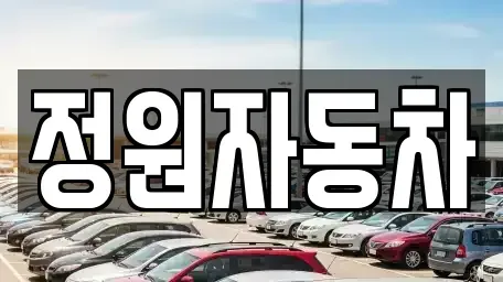 서울 용산구 원효로4가 중고차 전문 정원자동차