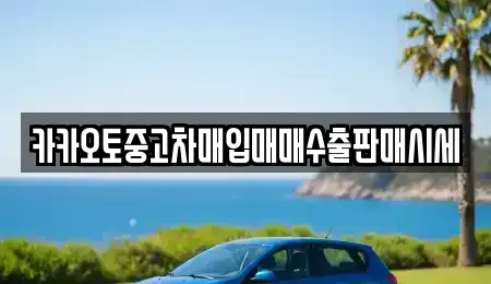 서울 용산구 원효로4가 중고차매입 전문 카카오토중고차매입매매수출판매시세