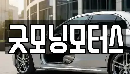 서울특별시 강동구 고덕동 중고차 전문 굿모닝모터스