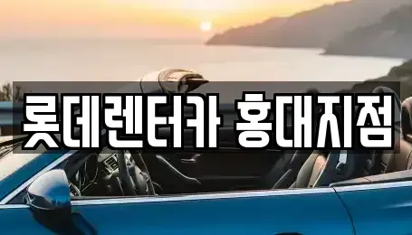 서울특별시 마포구 동교동 렌트카 전문 롯데렌터카 홍대지점