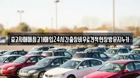 서울특별시 마포구 동교동 중고차 전문 중고차매매최고가매입24시간출장비무료견적현장방문지누카