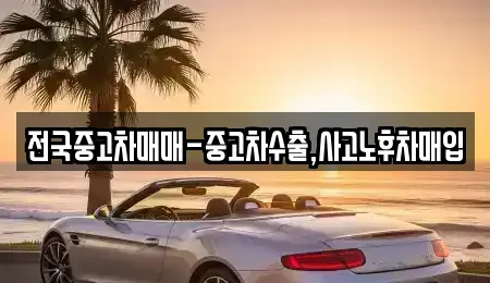 서울특별시 마포구 동교동 중고차매입 전문 전국중고차매매-중고차수출,사고노후차매입