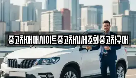 서울특별시 영등포구 문래동4가 중고차 전문 중고차매매사이트중고차시세조회중고차구매