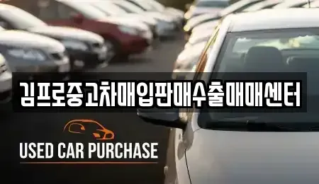 서울특별시 영등포구 문래동4가 중고차매입 전문 김프로중고차매입판매수출매매센터