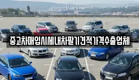 울산 북구 양정동 중고차 전문 중고차매입시세내차팔기견적가격수출업체