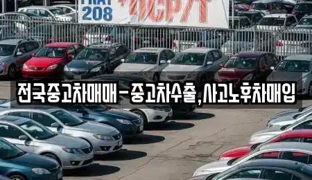 울산 북구 양정동 중고차매입 전문 전국중고차매매-중고차수출,사고노후차매입