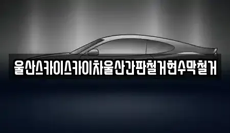 울산광역시 남구 성암동 중고차 전문 울산스카이스카이차울산간판철거현수막철거