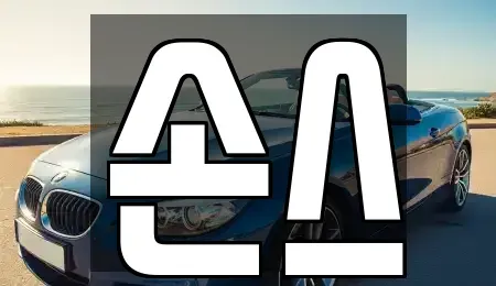 인천 부평구 부평동 장기렌트카 전문 손스