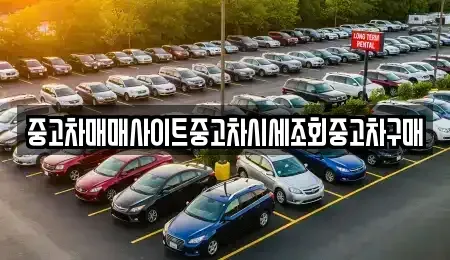 인천 부평구 부평동 중고차매매 전문 중고차매매사이트중고차시세조회중고차구매