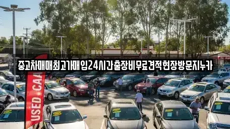 인천광역시 중구 전동 중고차 전문 중고차매매최고가매입24시간출장비무료견적현장방문지누카