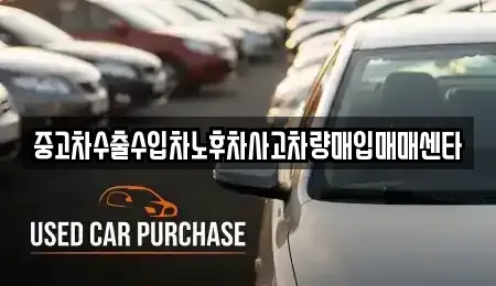 전남 여수시 여서동 중고차매입 전문 중고차수출수입차노후차사고차량매입매매센타