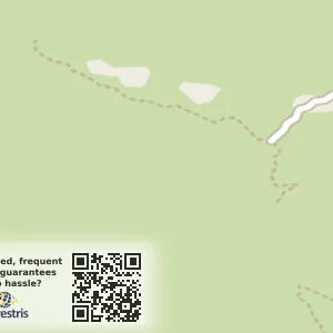 전라남도 광양시 다압면 중고차 광양중고차매입판매상담 위치