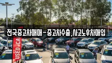 전라남도 목포시 경동1가 중고차 전문 전국중고차매매-중고차수출,사고노후차매입