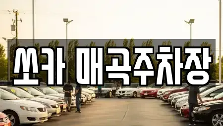 전라남도 순천시 용당동 렌트카 전문 쏘카 매곡주차장