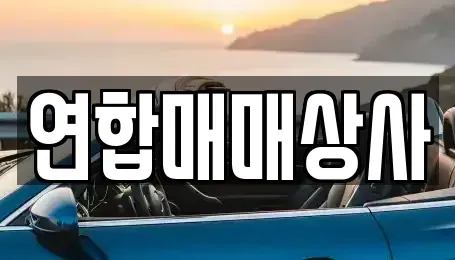 전라남도 해남군 중고차 전문 연합매매상사