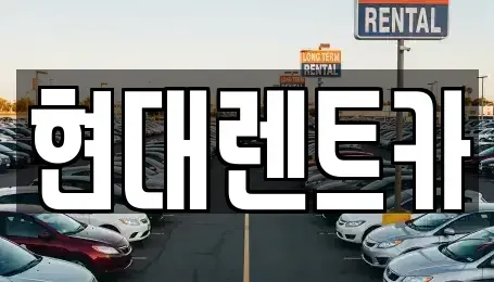 전북 군산시 장미동 렌트카 전문 현대렌트카