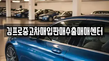 전북 무주군 단기렌트카,중고차매입,중고차매매,중고차,렌트카,장기렌트카