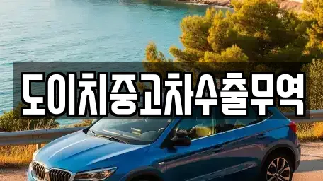 전북 전주시 완산구 전동3가 중고차매매 전문 도이치중고차수출무역