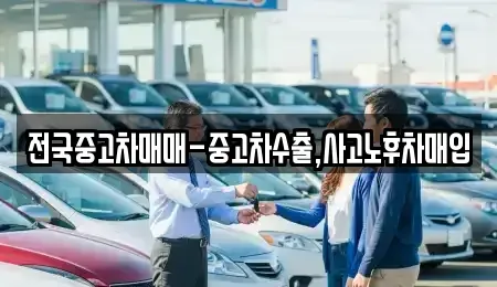 전북 전주시 완산구 평화동3가 중고차매입 전문 전국중고차매매-중고차수출,사고노후차매입