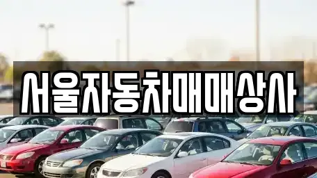 전북특별자치도 전주시 덕진구 호성동3가 중고차 전문 서울자동차매매상사