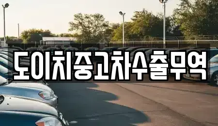 전북특별자치도 전주시 완산구 다가동2가 중고차매매 전문 도이치중고차수출무역