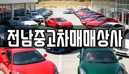 전북특별자치도 전주시 완산구 다가동2가 중고차매매 전문 전남중고차매매상사