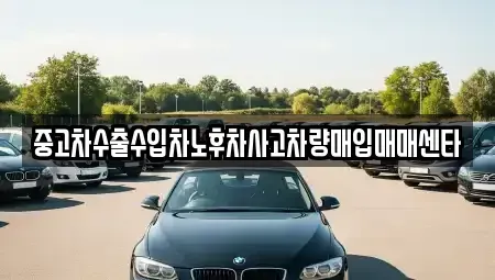 전북특별자치도 전주시 완산구 대성동 중고차매입 전문 중고차수출수입차노후차사고차량매입매매센타