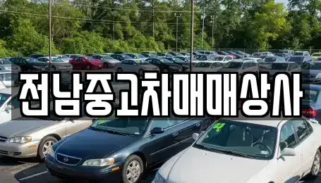 전북특별자치도 전주시 완산구 동완산동 중고차 전문 전남중고차매매상사