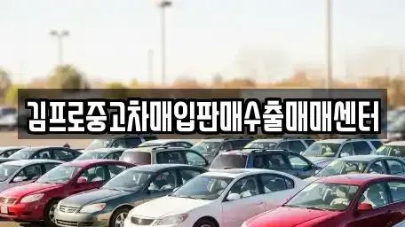충남 천안시 동남구 사직동 중고차매입 전문 김프로중고차매입판매수출매매센터