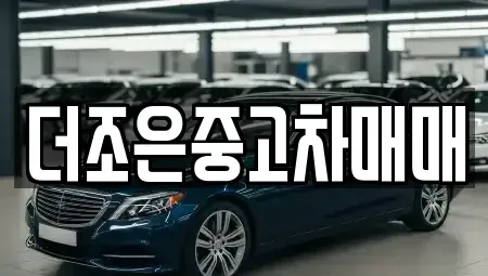 충남 홍성군 중고차매매 전문 더조은중고차매매