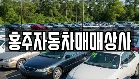 충남 홍성군 중고차매매,단기렌트카,중고차매입,장기렌트카,중고차,렌트카