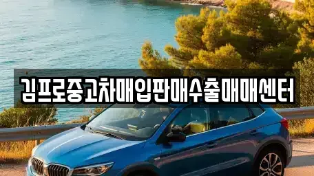 충북 청주시 흥덕구 중고차매입 전문 김프로중고차매입판매수출매매센터