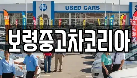 충청남도 보령시 중고차 전문 보령중고차코리아