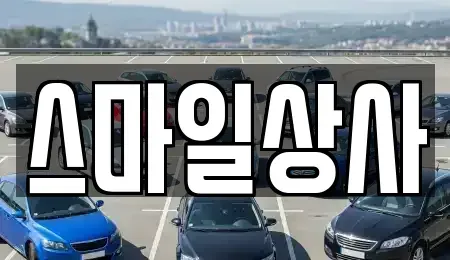 충청남도 서천군 중고차 전문 스마일상사