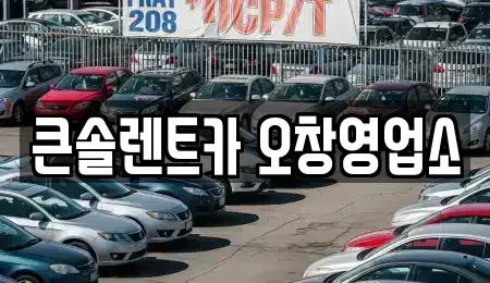 충청북도 청주시 청원구 오창읍 렌트카 전문 큰솔렌트카 오창영업소