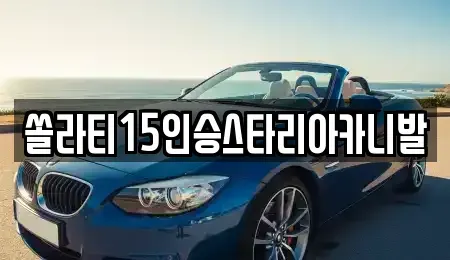 충청북도 충주시 성내동 렌트카 전문 쏠라티15인승스타리아카니발